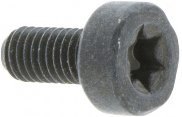 Skruv Torx D10, M5X10,5 i gruppen  hos Entreprenadbutiken (5032153-10)