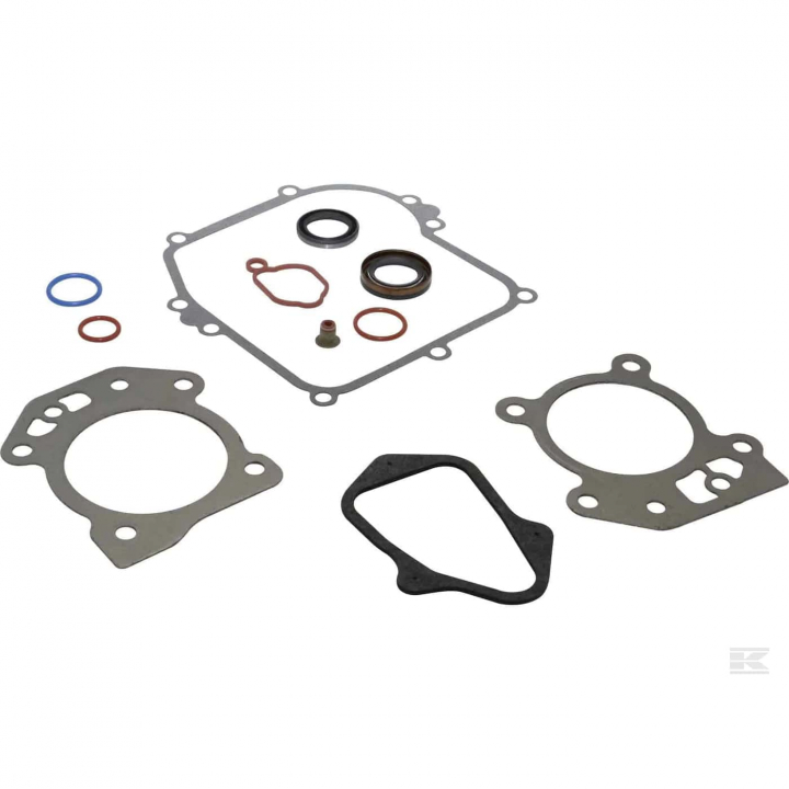 Gasket Kit B&S 595350 i gruppen B&S 08P502-0022-H1 hos Entreprenadbutiken (5822886-23)