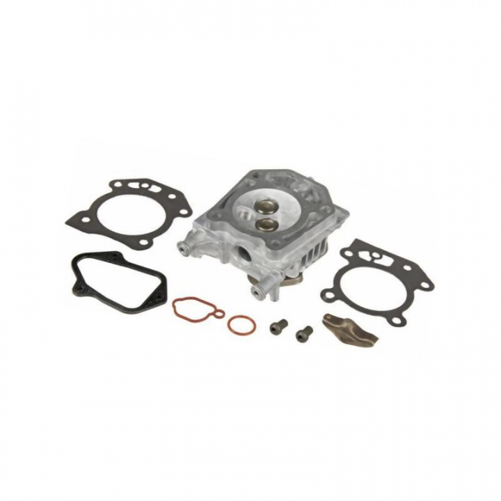 Head Cylinder B&S 595351 i gruppen B&S 08P502-0022-H1 hos Entreprenadbutiken (5822888-06)