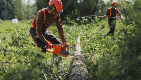 Skogsarbetare som sågar stock med Husqvarna batteridriven motorsåg